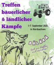 Flyer für das Bäläkä-Camp